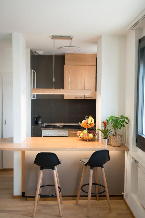 Wowappartements Vue Sur Le Jet D'eau Apartamento Ginebra